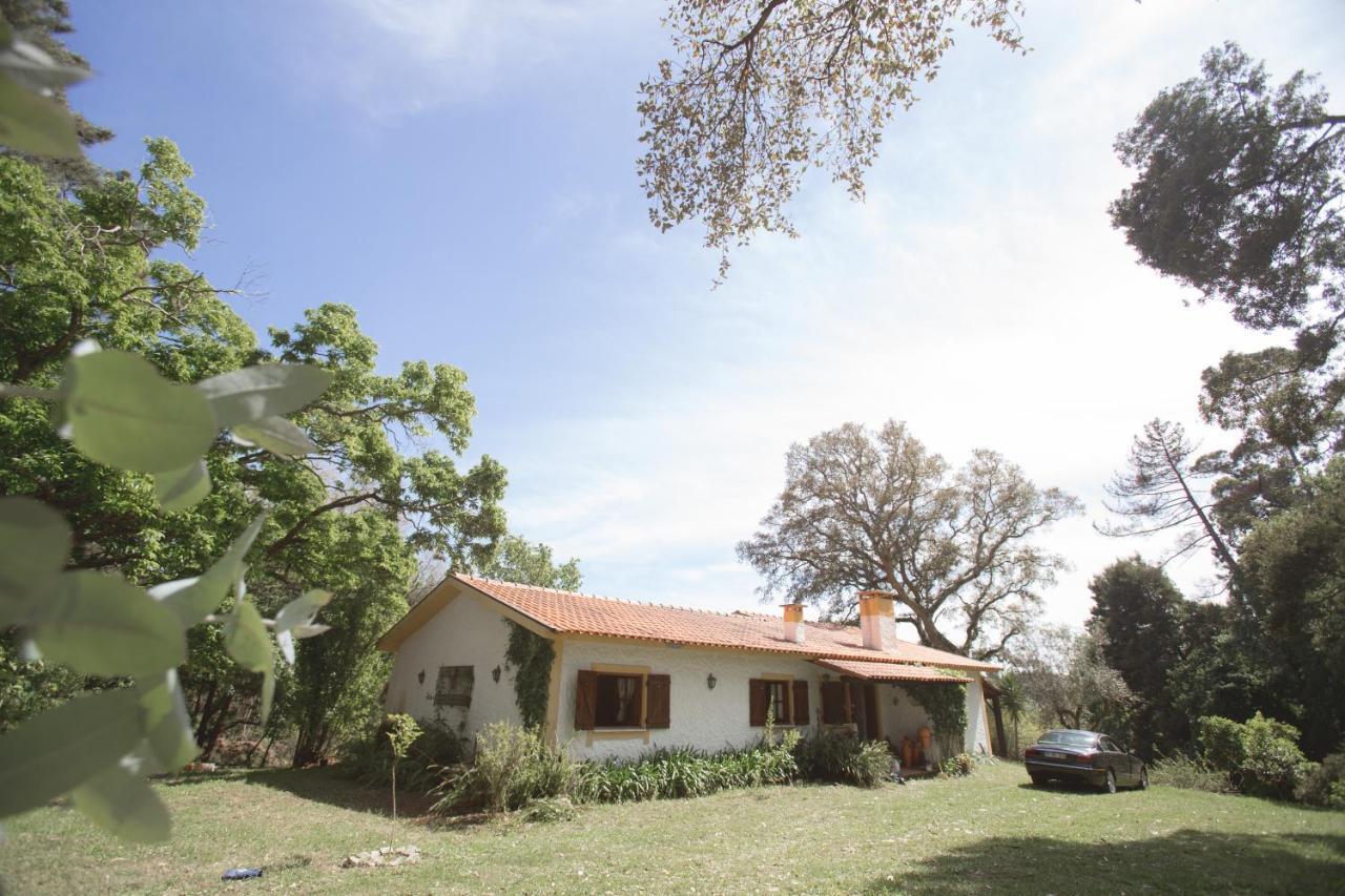 Villa Quinta Do Vale Grande Albergaria-a-Velha Exterior foto
